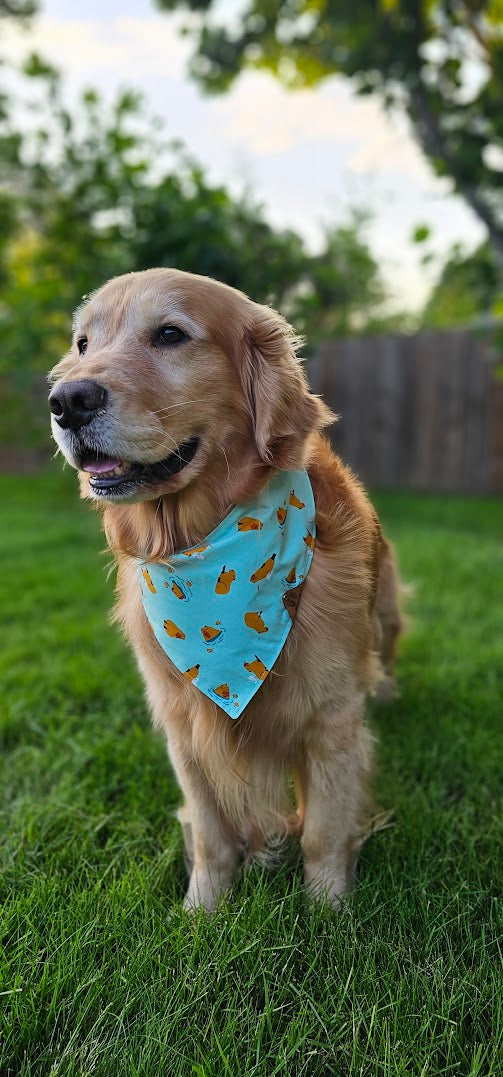 Capy Cool Bandana