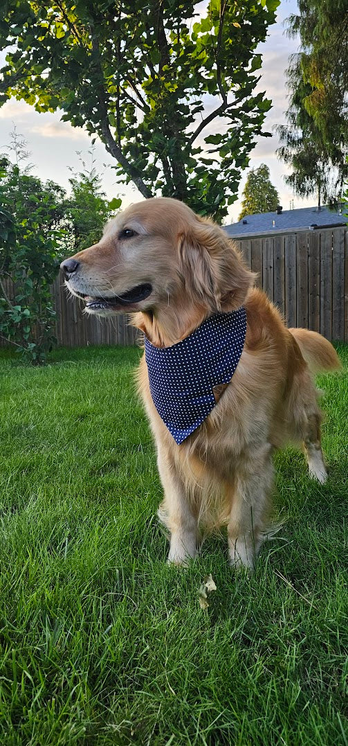 Paw-ka Dots Bandana