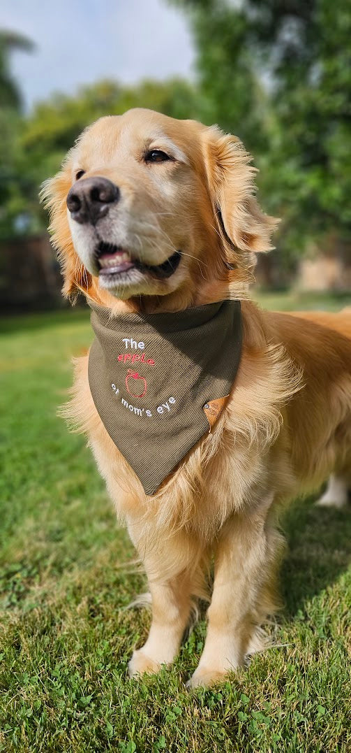 Custom Dog Bandana - Personalized just for your pup