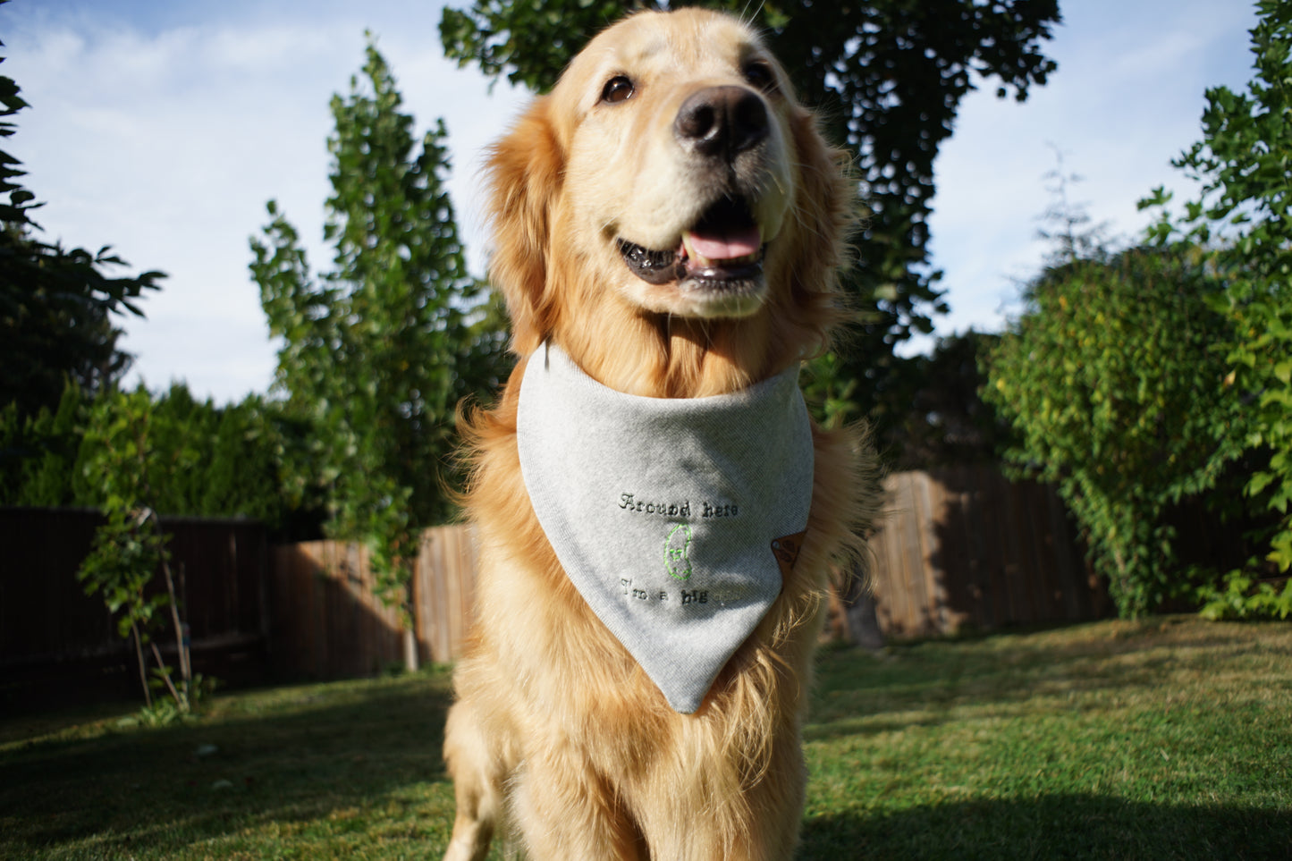 Custom Dog Bandana - Personalized just for your pup