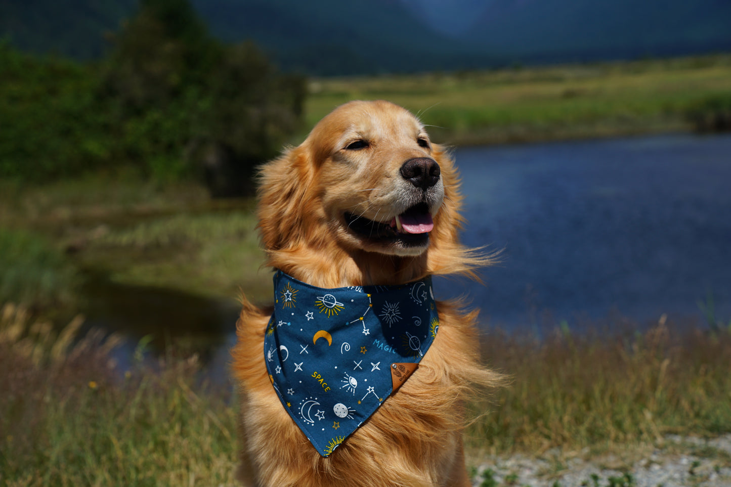 Cosmic Pup Bandana