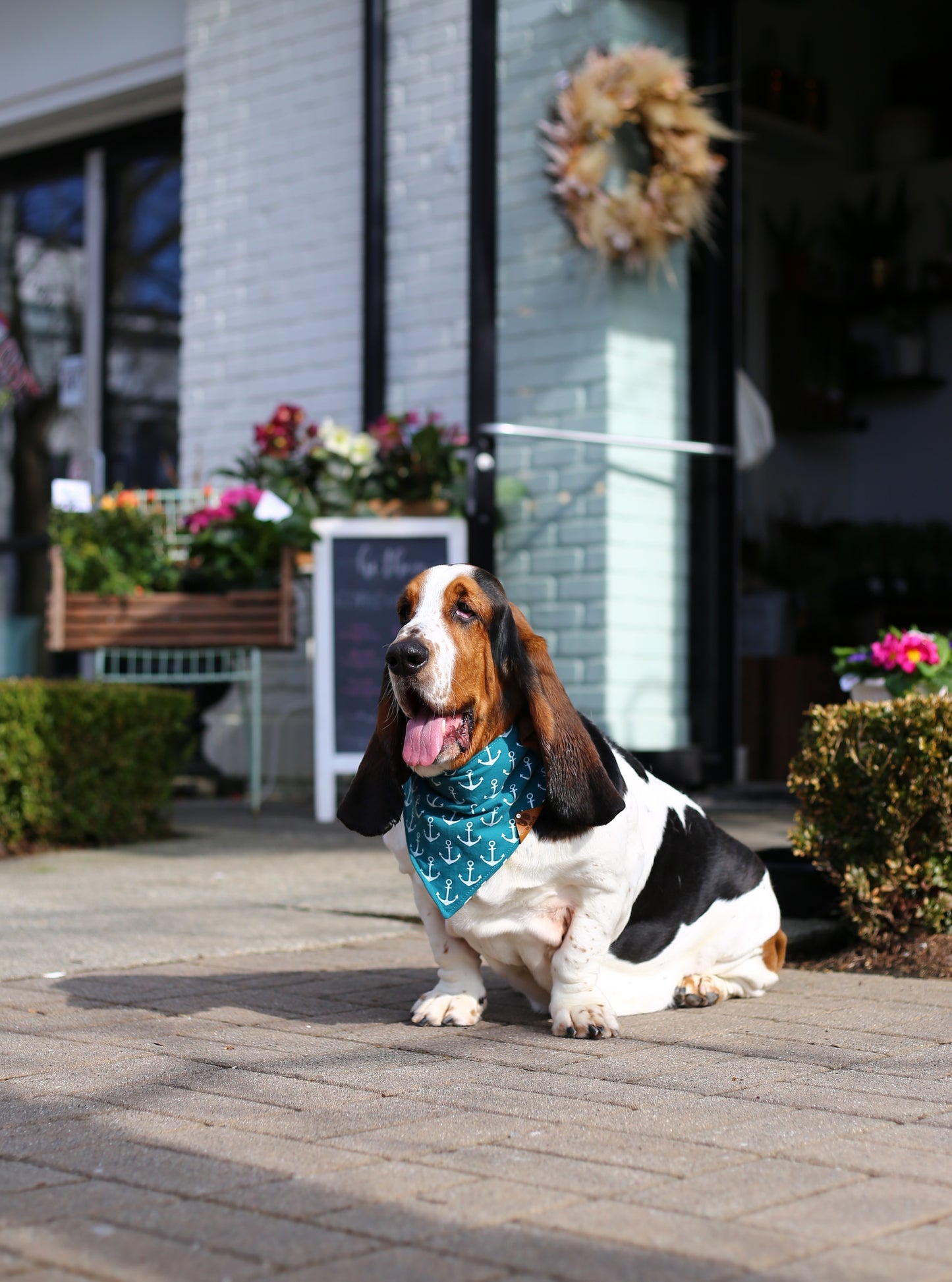 Nautical Paws Bandana