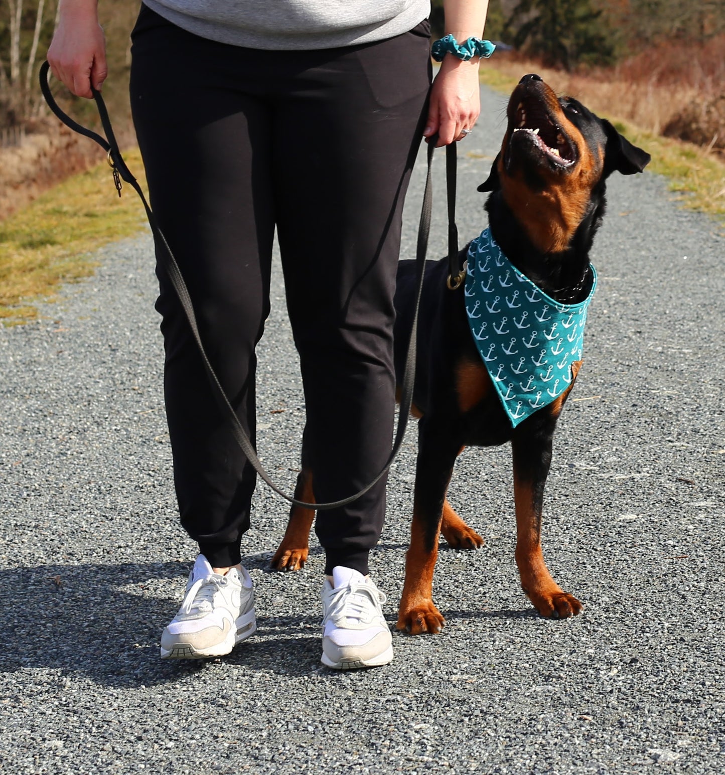 Nautical Paws Bandana