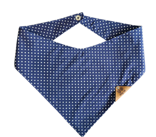 Paw-ka Dots Bandana