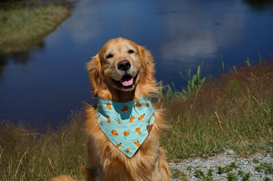 Capy Cool Bandana